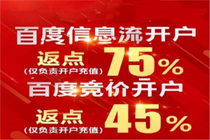 电商信息流广告推广成功案例分享